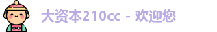 大资本210cc